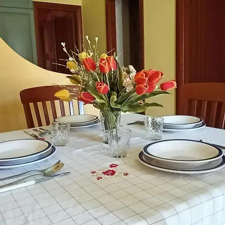 Mediterraneo Appartaments Apartment